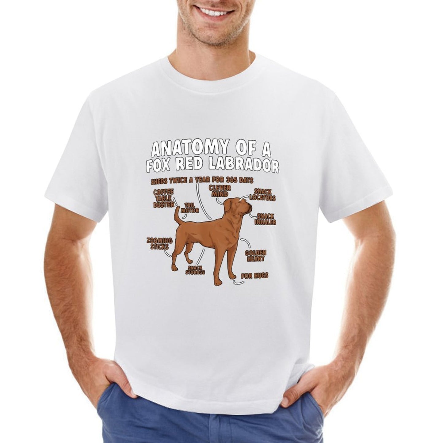 Inkmay Casual Cotton T-shirt Anatomy Of A Fox Red Labrador Unisex T-shirtLightweight Colorfast T-Shirt
