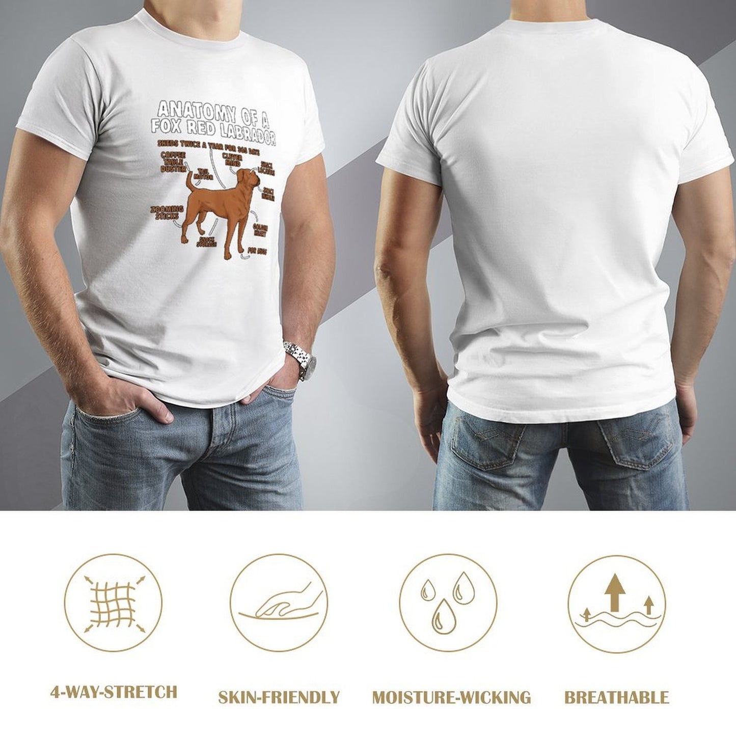 Inkmay Casual Cotton T-shirt Anatomy Of A Fox Red Labrador Unisex T-shirtLightweight Colorfast T-Shirt