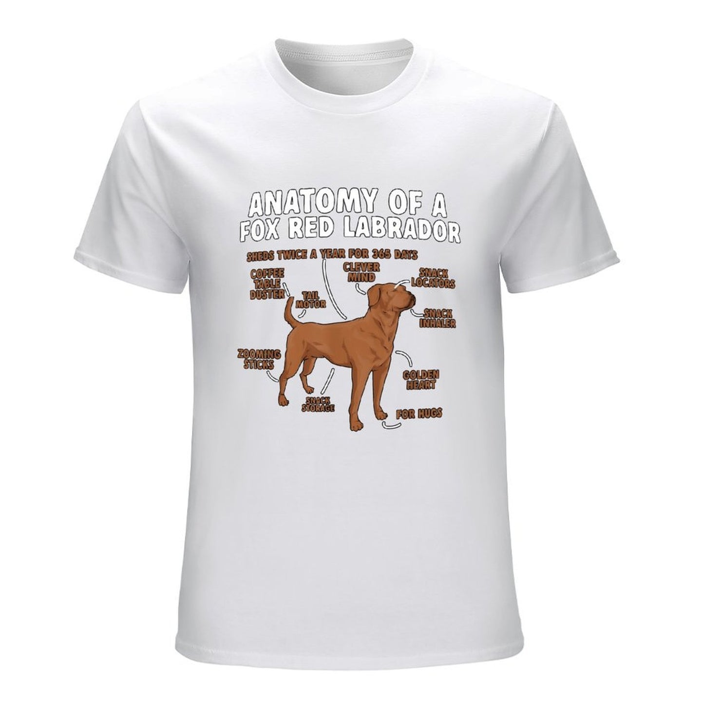 Inkmay Casual Cotton T-shirt Anatomy Of A Fox Red Labrador Unisex T-shirtLightweight Colorfast T-Shirt