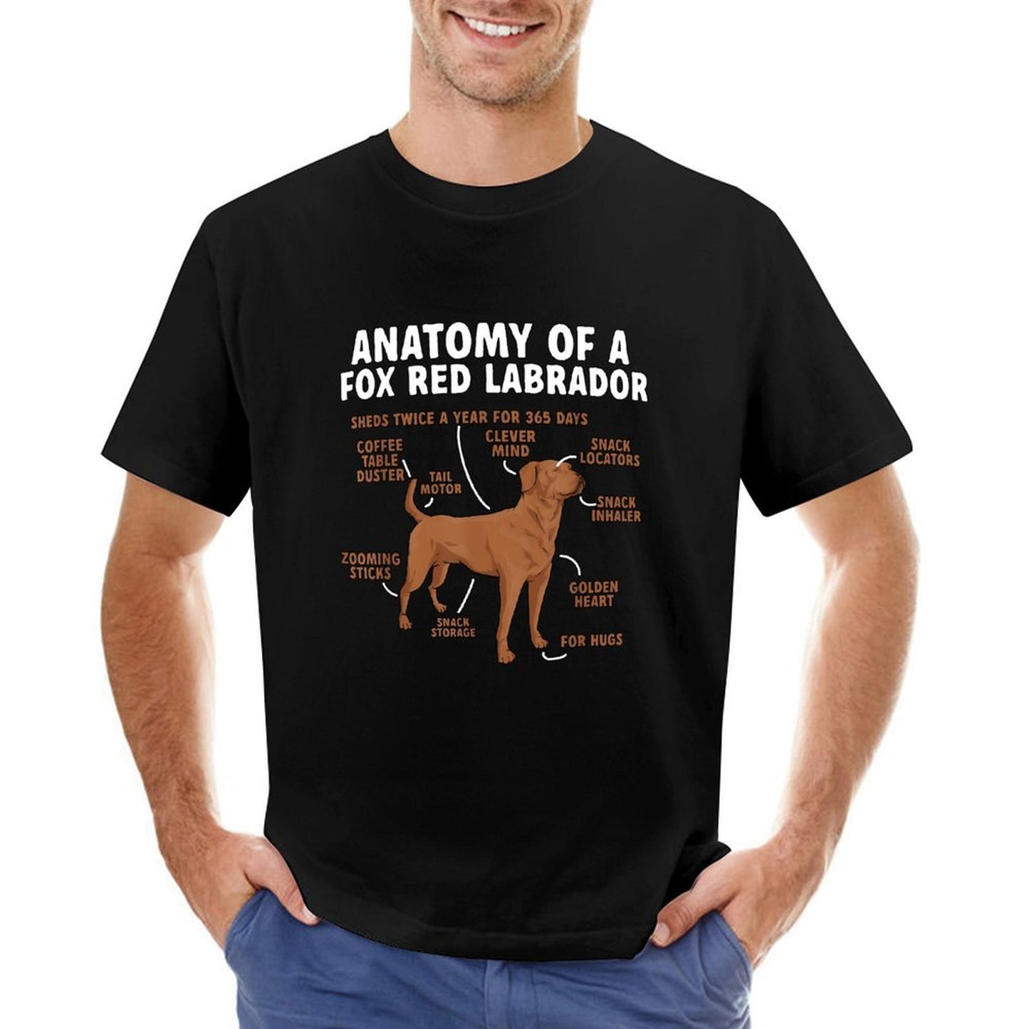 Inkmay Casual Cotton T-shirt Anatomy Of A Fox Red Labrador Unisex T-shirtLightweight Colorfast T-Shirt