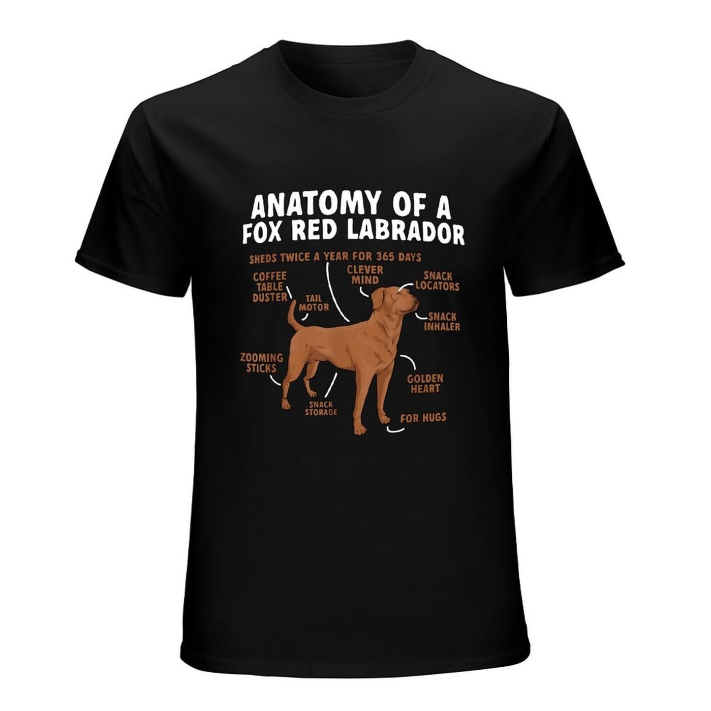 Inkmay Casual Cotton T-shirt Anatomy Of A Fox Red Labrador Unisex T-shirtLightweight Colorfast T-Shirt