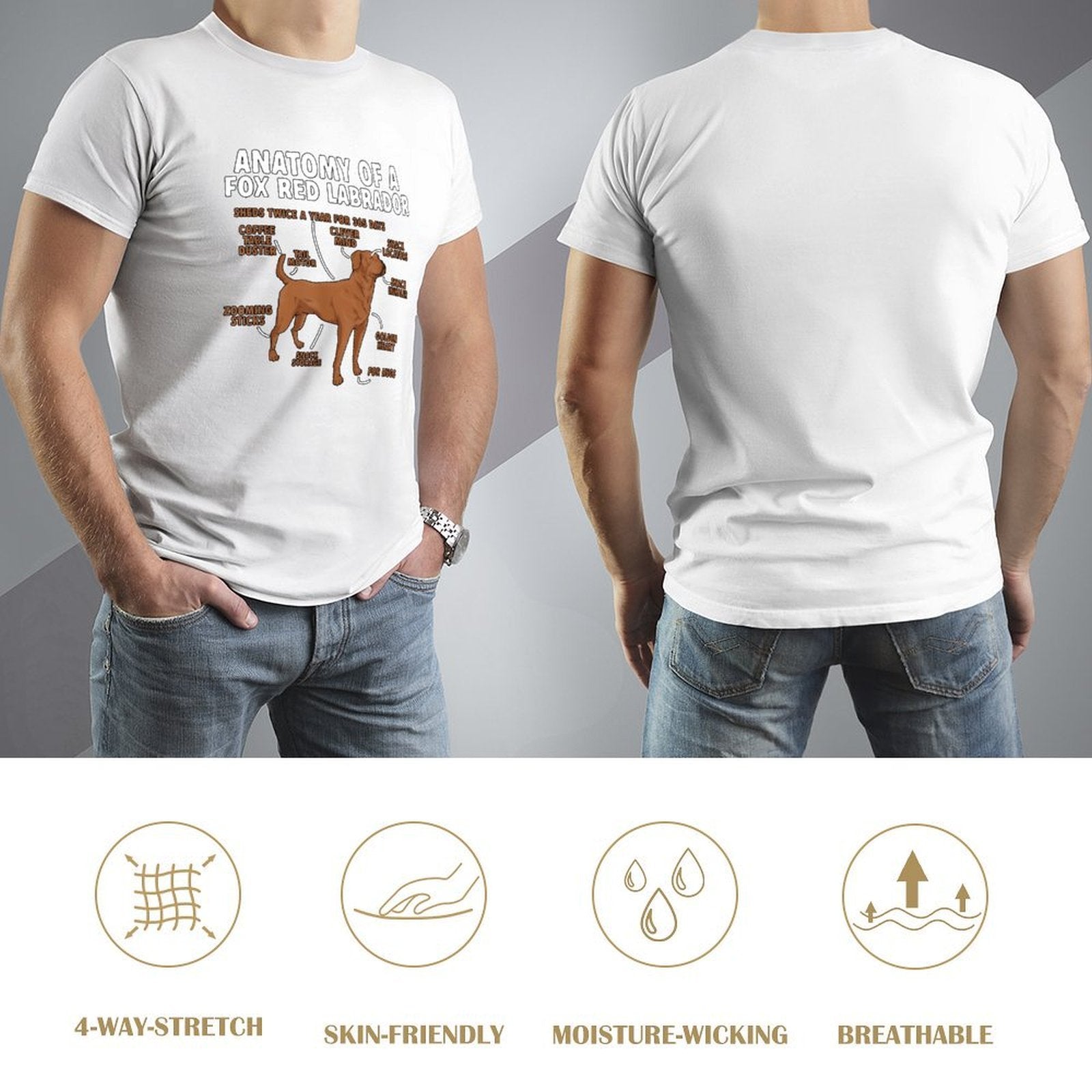 Inkmay Casual  Cotton T-shirt Anatomy Of A Fox Red Labrador Unisex T-shirtLightweight Colorfast T-Shirt