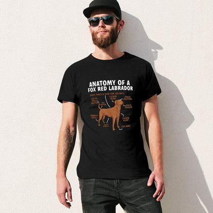 Inkmay Casual  Cotton T-shirt Anatomy Of A Fox Red Labrador Unisex T-shirtLightweight Colorfast T-Shirt