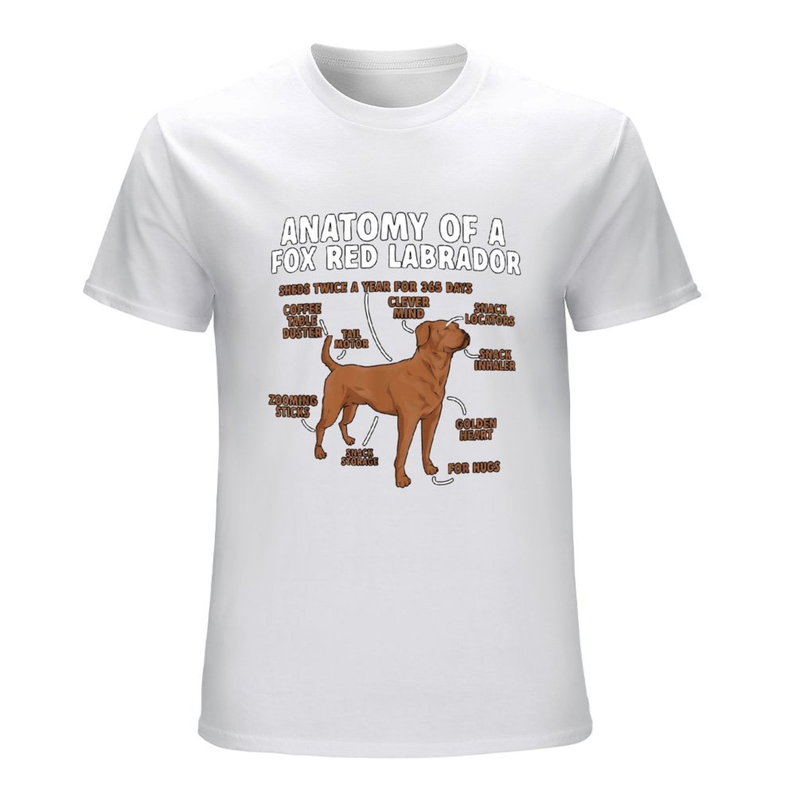 Inkmay Casual  Cotton T-shirt Anatomy Of A Fox Red Labrador Unisex T-shirtLightweight Colorfast T-Shirt