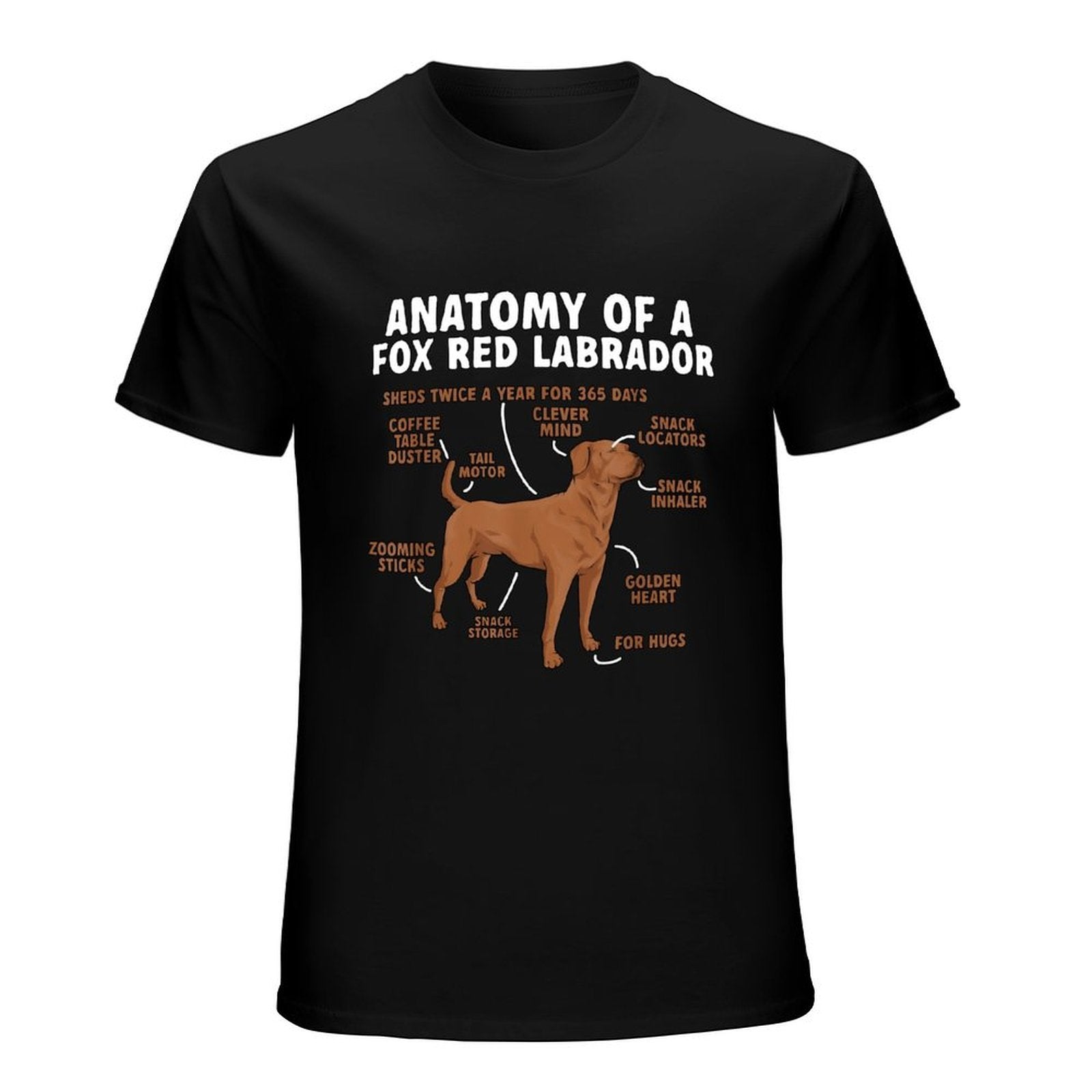 Inkmay Casual  Cotton T-shirt Anatomy Of A Fox Red Labrador Unisex T-shirtLightweight Colorfast T-Shirt