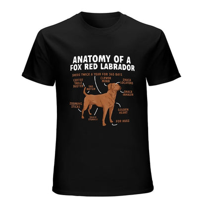 Inkmay Casual  Cotton T-shirt Anatomy Of A Fox Red Labrador Unisex T-shirtLightweight Colorfast T-Shirt